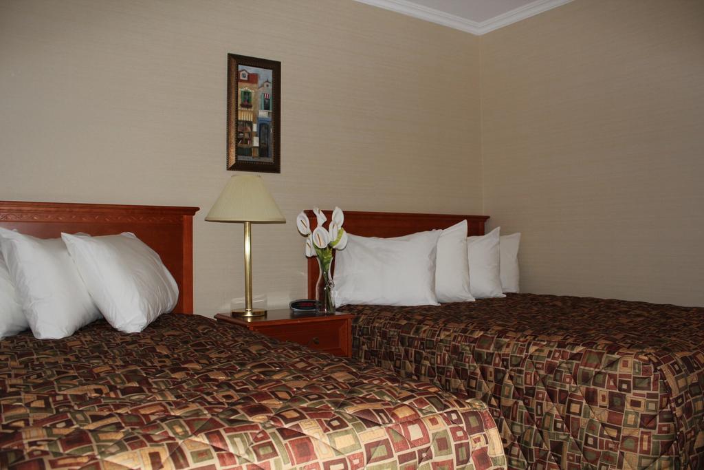 Hotel Mount Pearl Mount Pearl Park 객실 사진